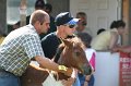 ponypenning_072811_0734