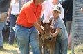 ponypenning_072811_0736