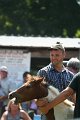 ponypenning_072811_0741
