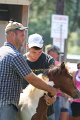 ponypenning_072811_0745