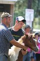 ponypenning_072811_0746