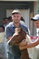 ponypenning_072811_0749