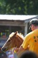 ponypenning_072811_0752