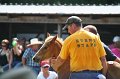 ponypenning_072811_0754