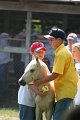 ponypenning_072811_0761