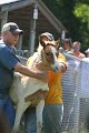 ponypenning_072811_0765