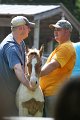 ponypenning_072811_0768
