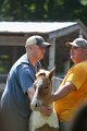 ponypenning_072811_0769
