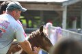 ponypenning_072811_0773