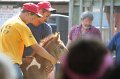 ponypenning_072811_0778