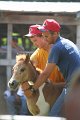 ponypenning_072811_0779