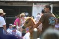 ponypenning_072811_0784
