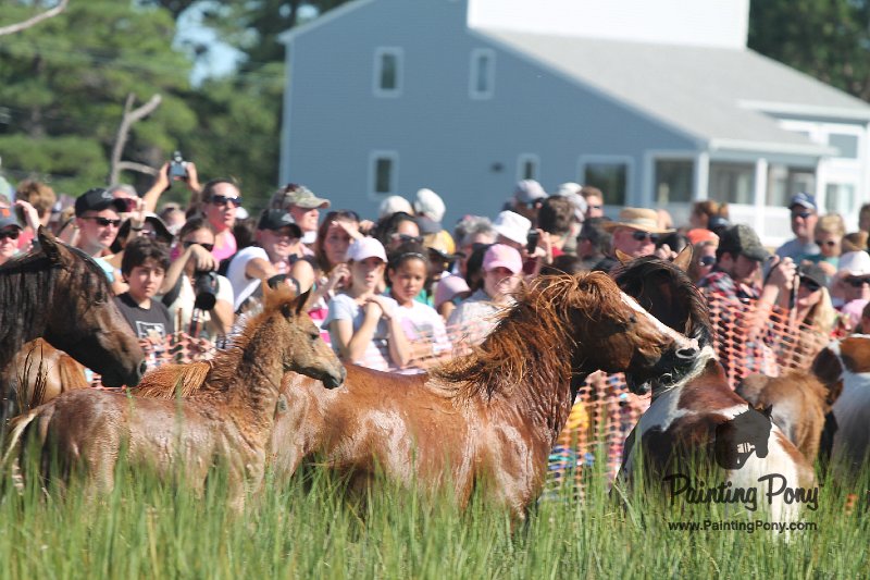 ponypenning12-104.JPG