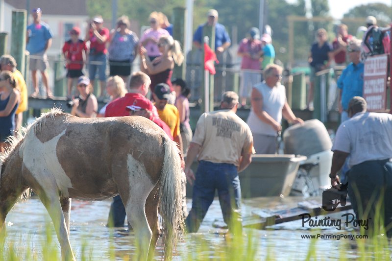 ponypenning12-109.JPG