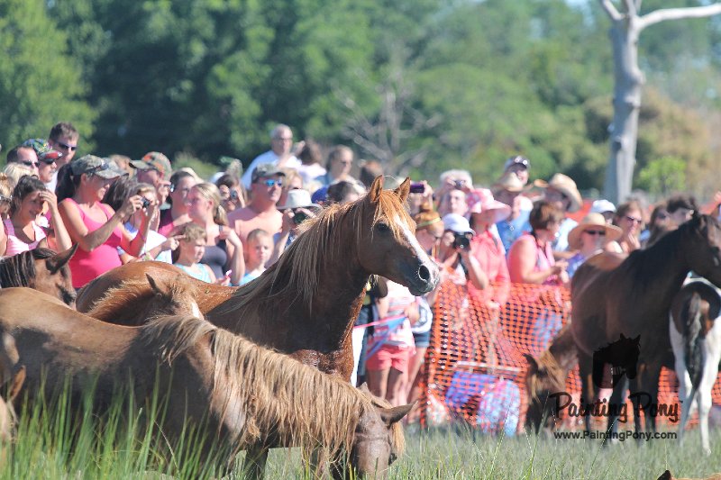 ponypenning12-200.JPG