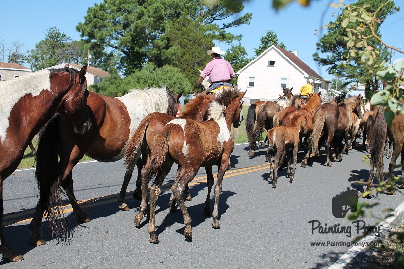 ponypenning12-244.JPG