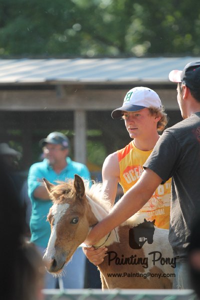 ponypenning12-261.JPG