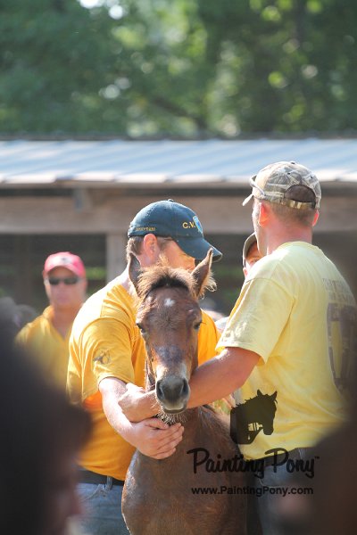 ponypenning12-265.JPG