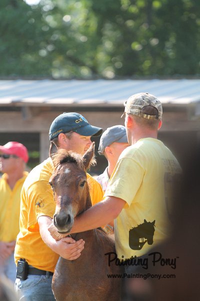ponypenning12-266.JPG
