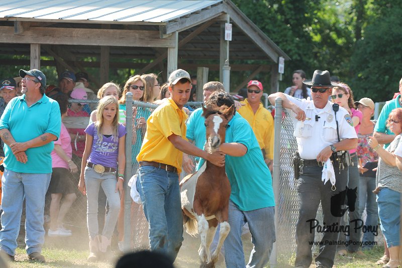 ponypenning12-270.JPG