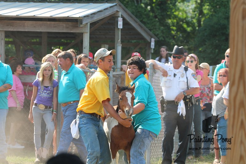 ponypenning12-272.JPG