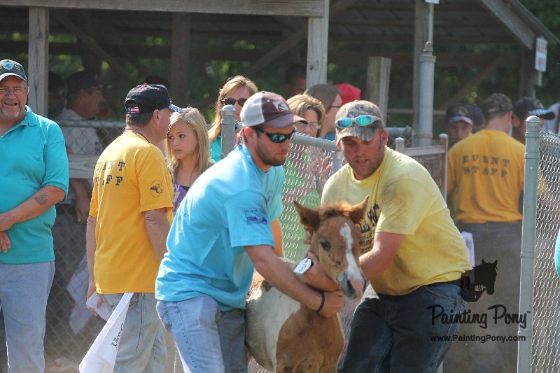 ponypenning12-276.JPG