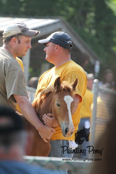 ponypenning12-302.JPG