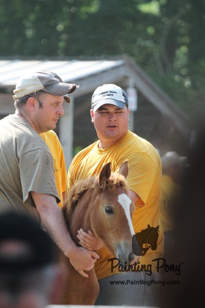 ponypenning12-305.JPG