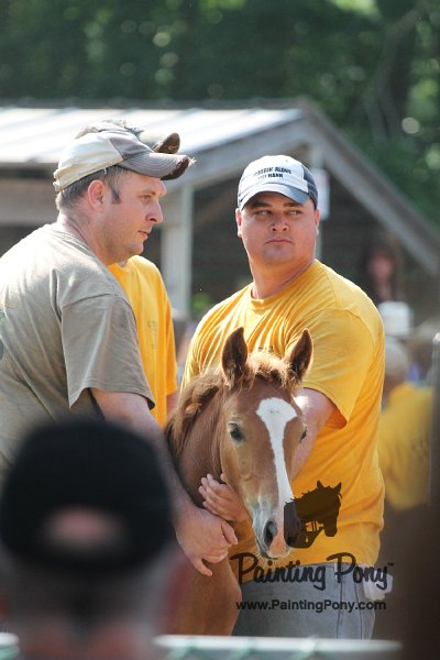 ponypenning12-306.JPG