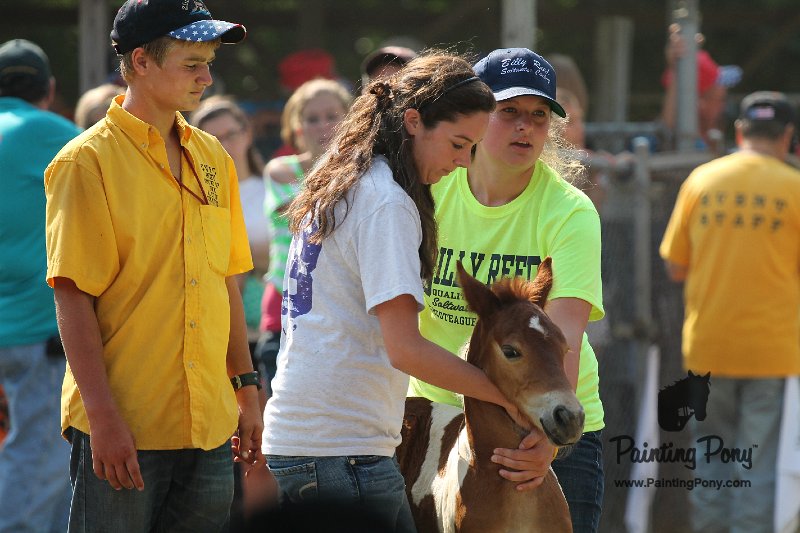 ponypenning12-334.JPG