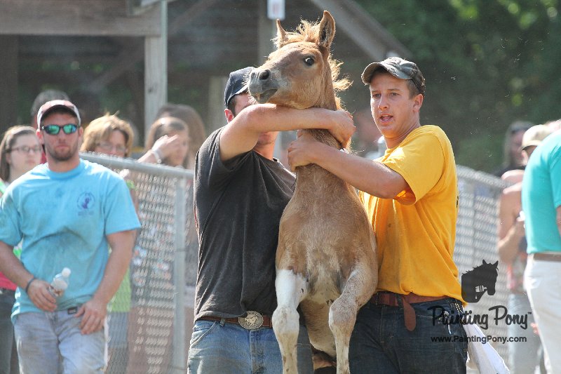ponypenning12-337.JPG