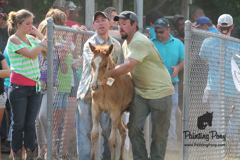 ponypenning12-340.JPG