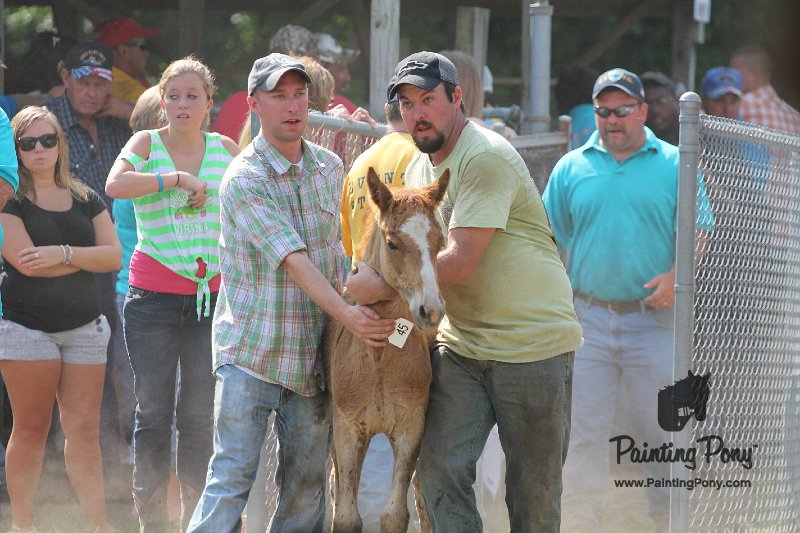 ponypenning12-342.JPG