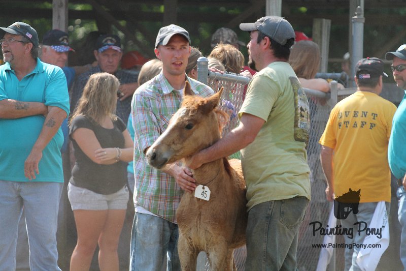ponypenning12-344.JPG