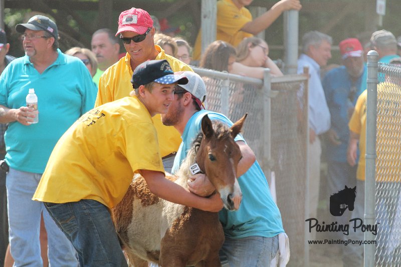 ponypenning12-352.JPG