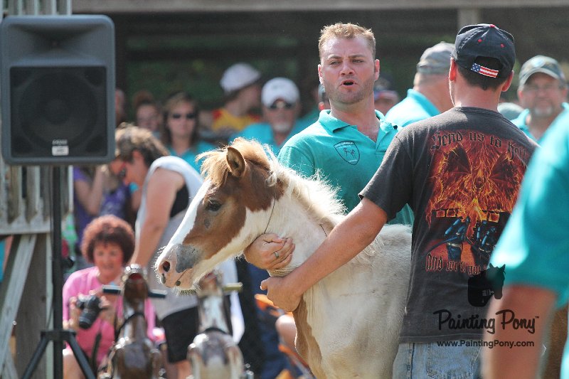 ponypenning12-355.JPG