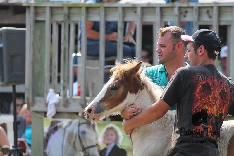 ponypenning12-358.JPG