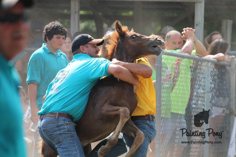 ponypenning12-360.JPG