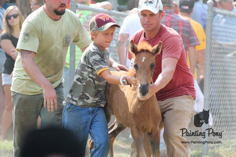 ponypenning12-371.JPG