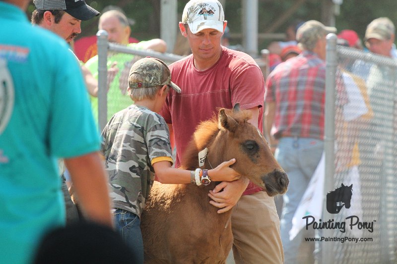 ponypenning12-374.JPG