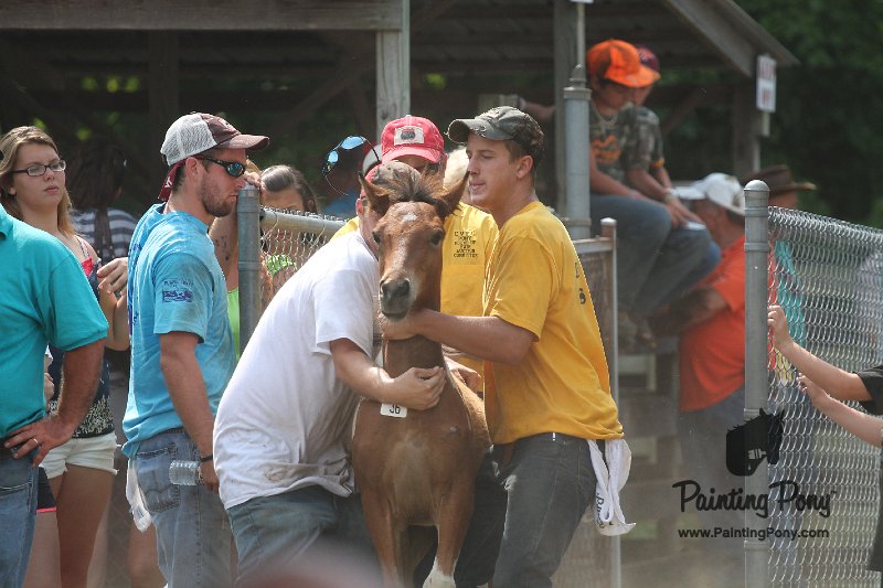 ponypenning12-400.JPG