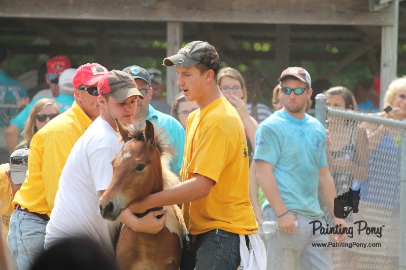 ponypenning12-404.JPG