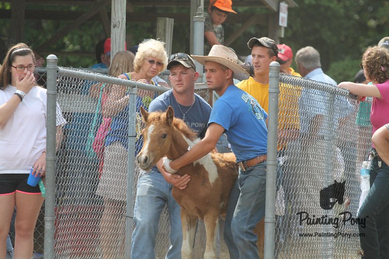 ponypenning12-414.JPG