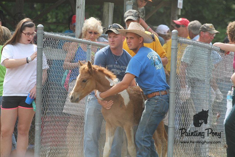 ponypenning12-415.JPG