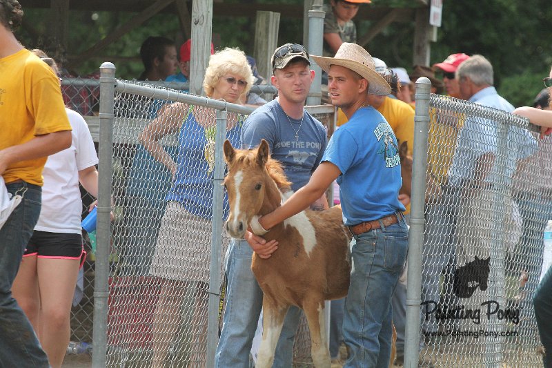 ponypenning12-417.JPG