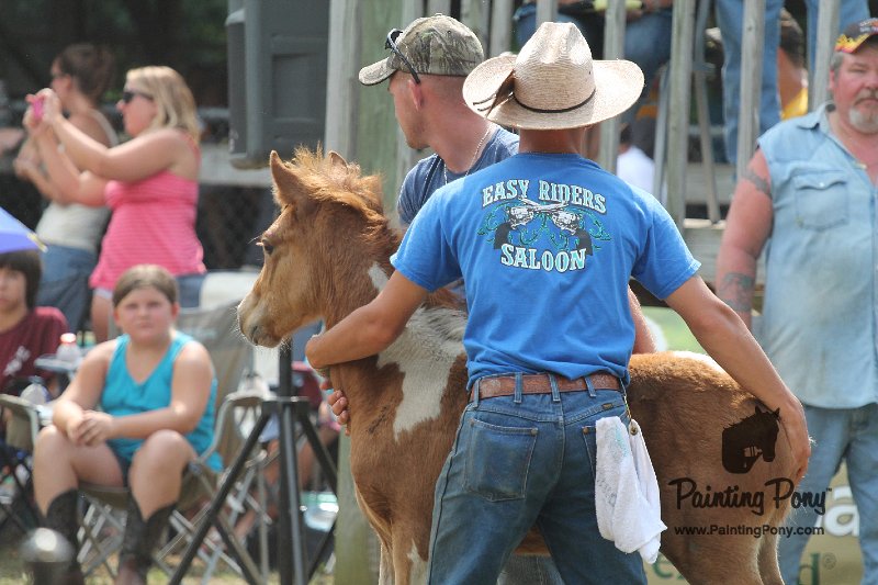 ponypenning12-419.JPG