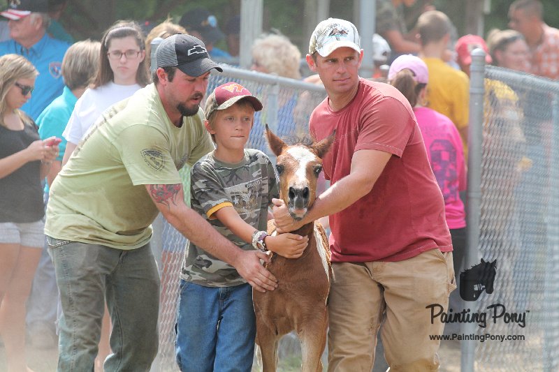 ponypenning12-431.JPG