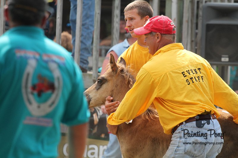 ponypenning12-436.JPG