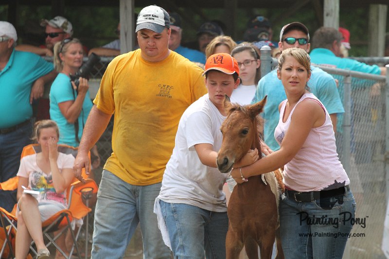 ponypenning12-437.JPG