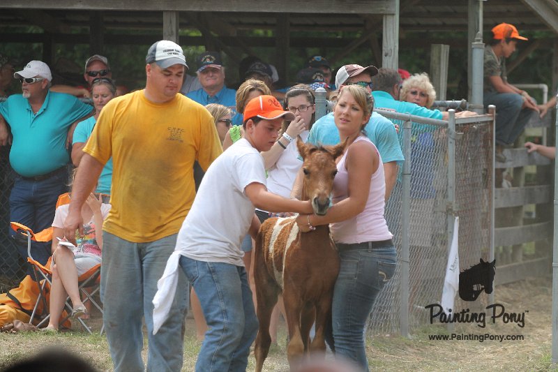 ponypenning12-438.JPG